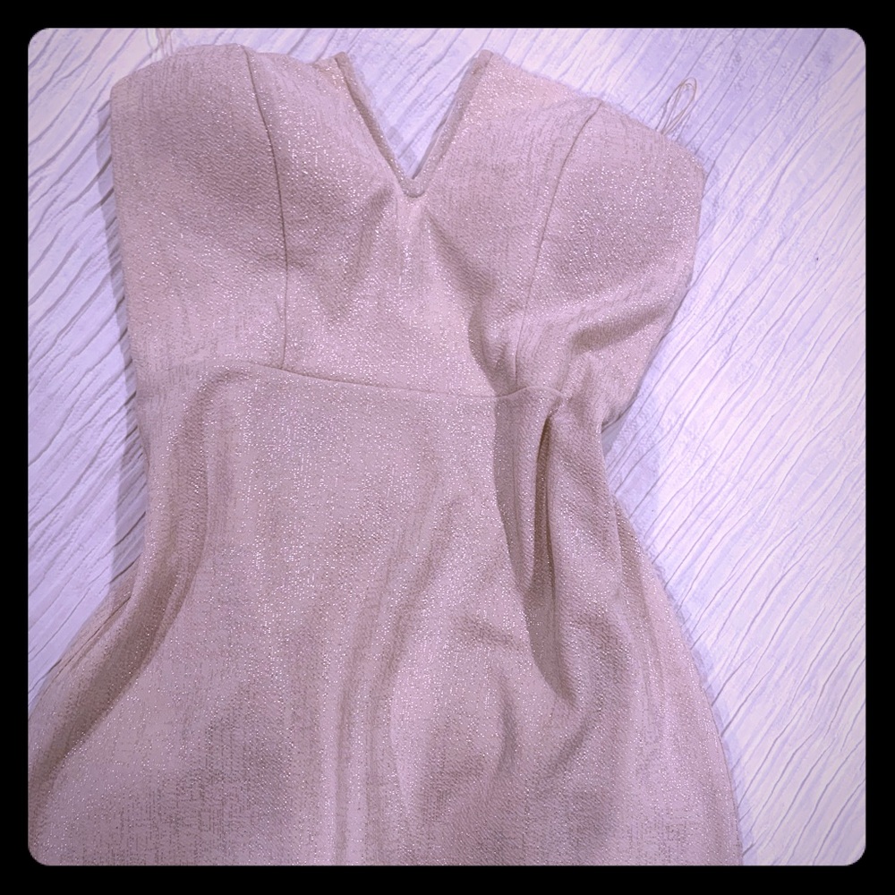 NWT Strapless Dress